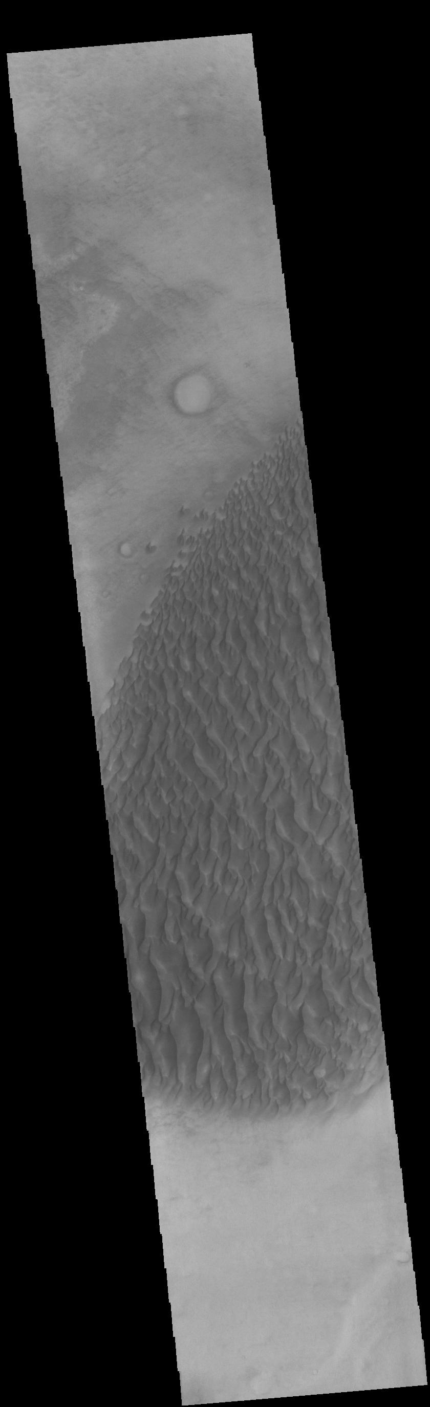 PIA24142: Proctor Crater Dunes