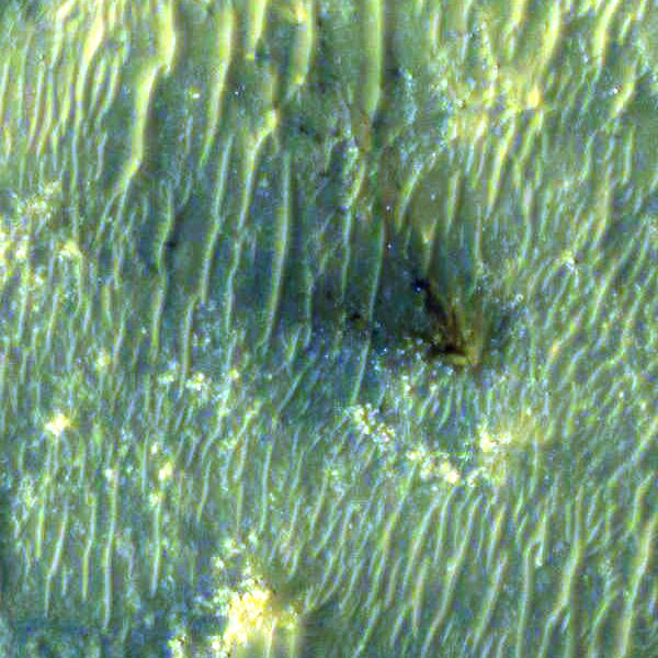 PIA24335: Close-Up of Perseverance Descent Stage on the Martian Surface