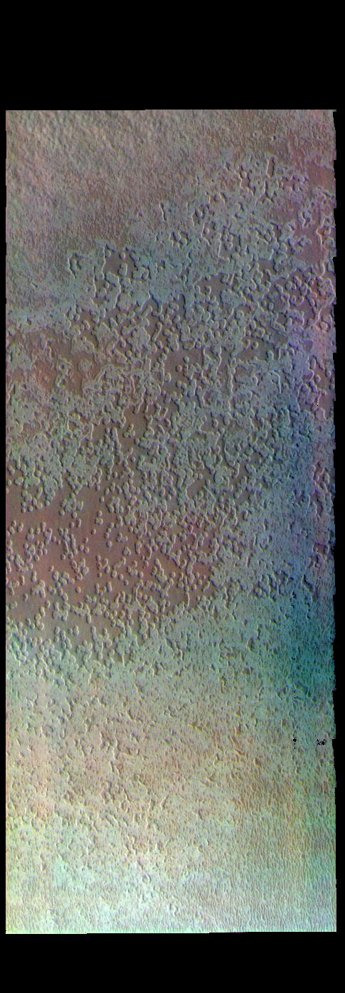PIA24556: Australe Mensa - False Color