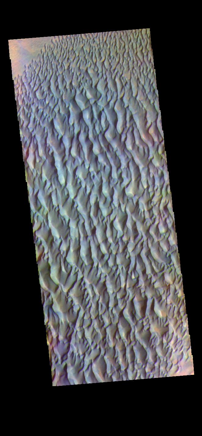 PIA24712: Proctor Crater Dunes - False Color