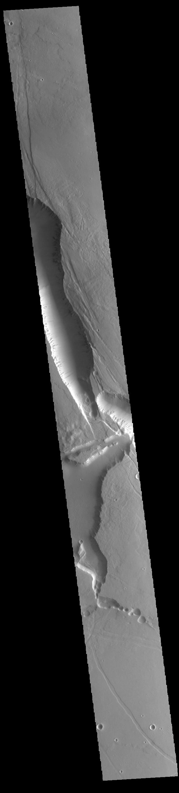 PIA24773: Elysium Chasma