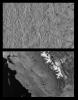 PIA00595: Icy Europa and similar scales on Earth