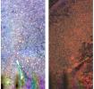 PIA10928: Microscopic Materials on a Magnet