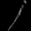 PIA12899: Eternal Darkness Near the North Pole
