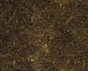 PIA15039: Phoenix Back Shell After Second Martian Winter