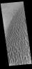 PIA19433: Proctor Crater Dunes