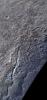 PIA20641: The Icy 'Spider' on Pluto