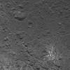 PIA22757: Complex Pattern on the Floor of Occator Crater